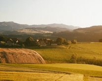 Switzerland: the land of cheese